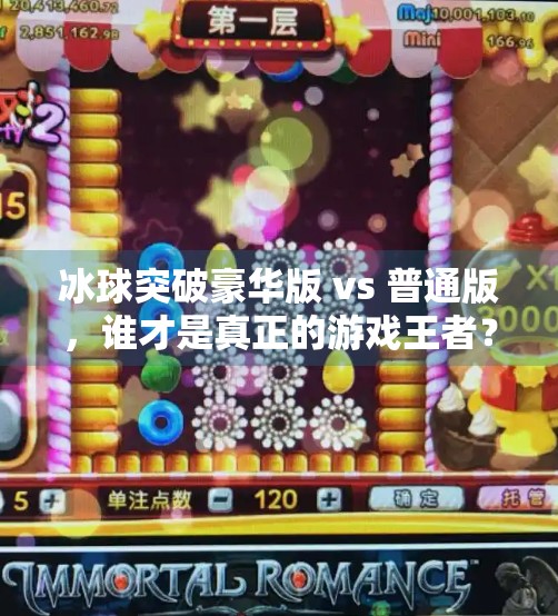 冰球突破豪华版 vs 普通版，谁才是真正的游戏王者？冰球突破豪华版和普通版