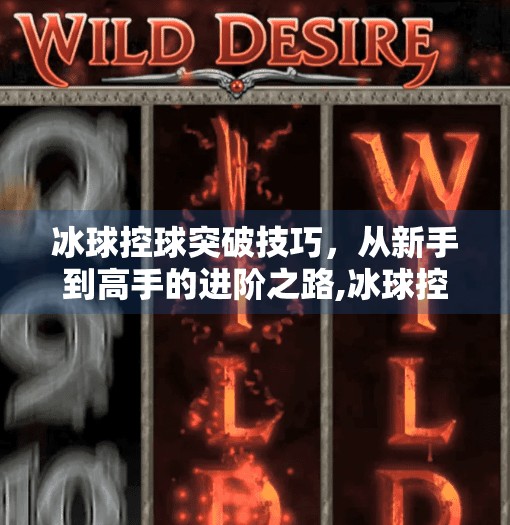 冰球控球突破技巧，从新手到高手的进阶之路,冰球控球突破技巧
